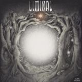 Slave Chains - Liminal (Lossless) Slave Chains - Liminal (Lossless)