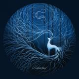 Cairiss - Wilderness (Lossless) Cairiss - Wilderness (Lossless)