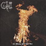 Skoll - Of Misty Fire We Are (Lossless) Skoll - Of Misty Fire We Are (Lossless)