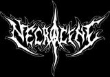 Necrocene - Discography (2024 - 2026) (Upconvert) Necrocene - Discography (2024 - 2026) (Upconvert)