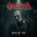 Procession - Shadows Have Fiends (Lossless) Procession - Shadows Have Fiends (Lossless)