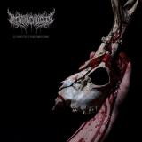 Mental Cruelty - Echoes Of A Forlorn Land (Lossless) Mental Cruelty - Echoes Of A Forlorn Land (Lossless)
