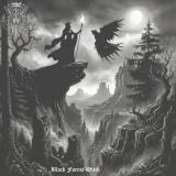 Immersed In Darkness - Black Forest Witch Immersed In Darkness - Black Forest Witch