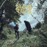 Dungeon Serpent - Discography (2020 - 2026) Dungeon Serpent - Discography (2020 - 2026)