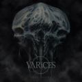 Varices - The Undoing