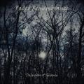 Faded Remembrance - Delusion Of Silence