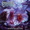 Embodiment Elimination - Metamorphosis Incarnate Through Genetic Devastation (Lossless)