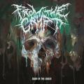From The Crypt - Born In The Grave