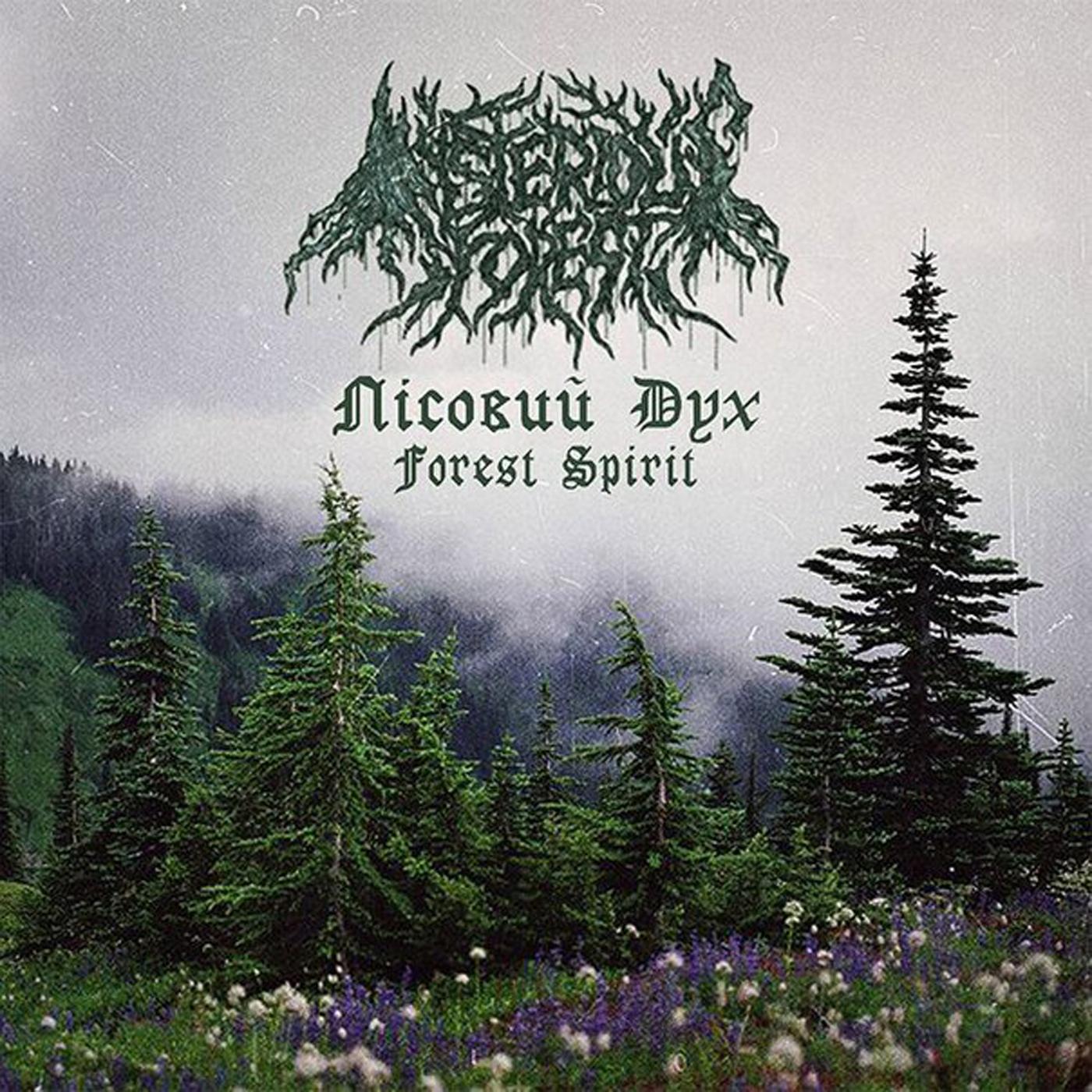 Forest band. Mysterious Forest. Forest группа Forest альбом. Atmospheric Black Metal Forest. Atmospheric Black Metal лес.