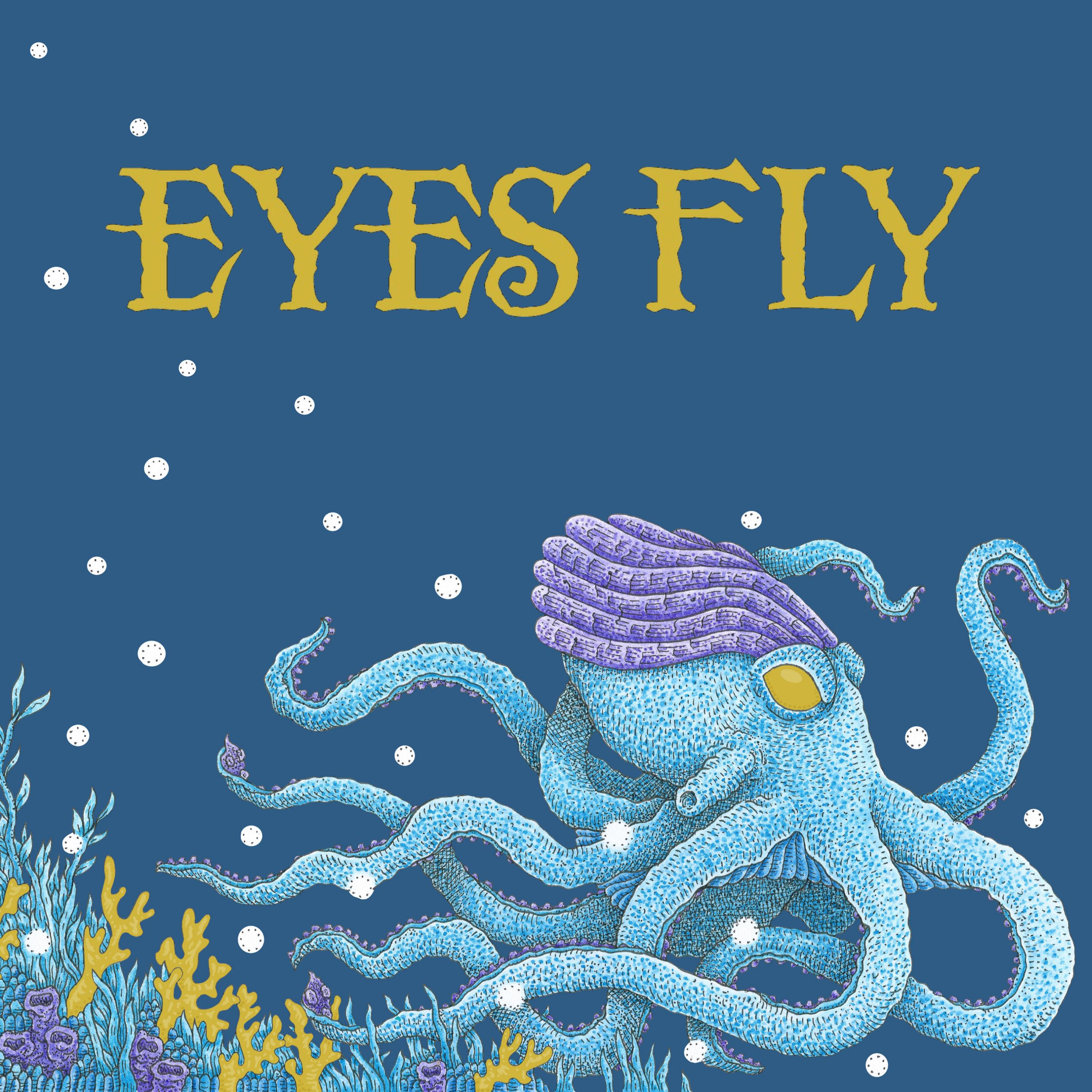 Fly your eyes. Fly Eye. Dream Core Eyes Fly.